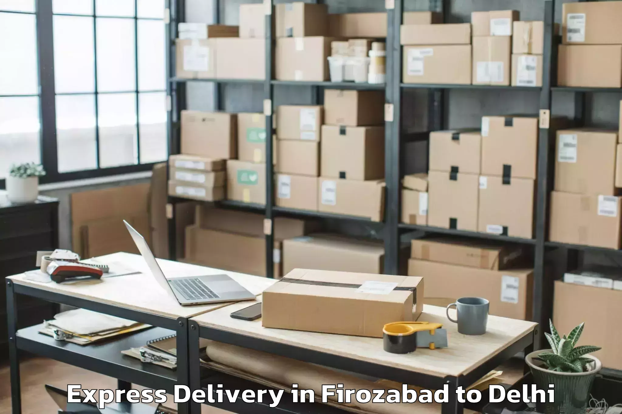 Expert Firozabad to Mgf Metropolitan Mall Delhi Express Delivery